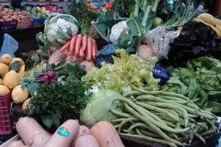 294892310_489433023182262_3207346550661828735_n