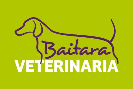 298658915_550563233495205_7626812307590108659_n