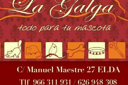 305578093_525976719529009_245396472723252521_n