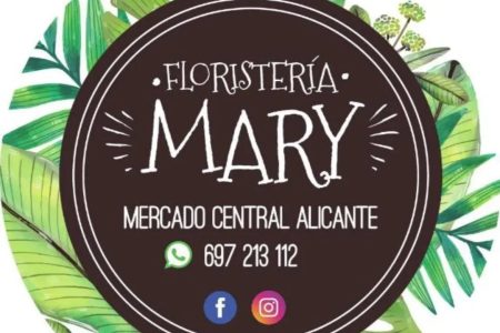 434933384_2430884593767457_5655403464826928468_n