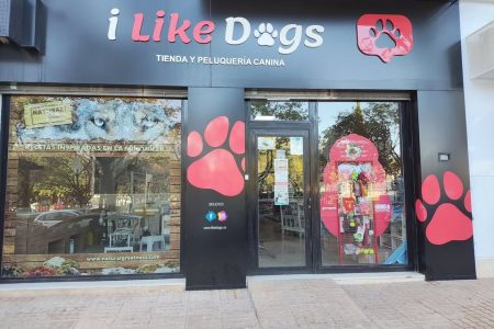 459934743_995321069275125_8928704155515232097_n