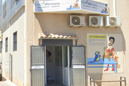 Captura de pantalla 2025-07-28 121342