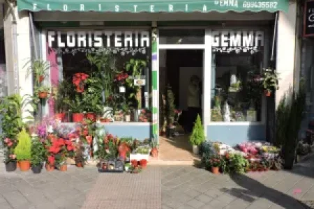 Floristería-Gemma