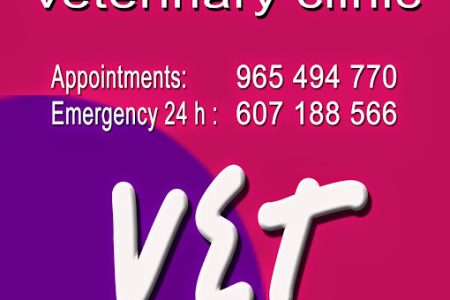 Puntovet CAMPO Revista